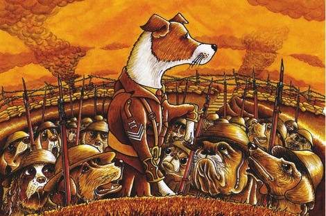 pet